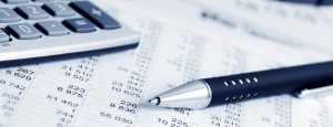 Payslip software
