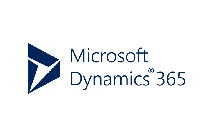 MS Dynamics